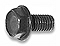 Machine Screw