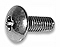 Machine Screw