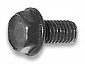 Machine Screws